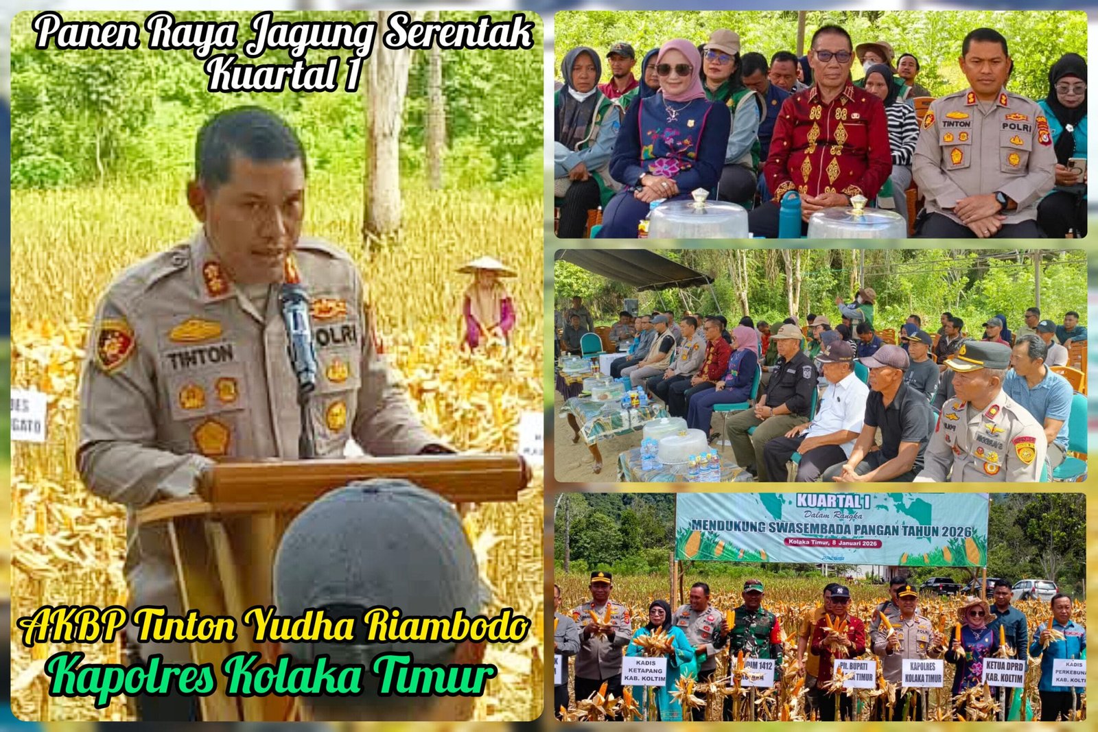 Petani Apresiasi Pendampingan Pemda dan Polres Koltim dalam Panen Raya Jagung Serentak Kuartal 1